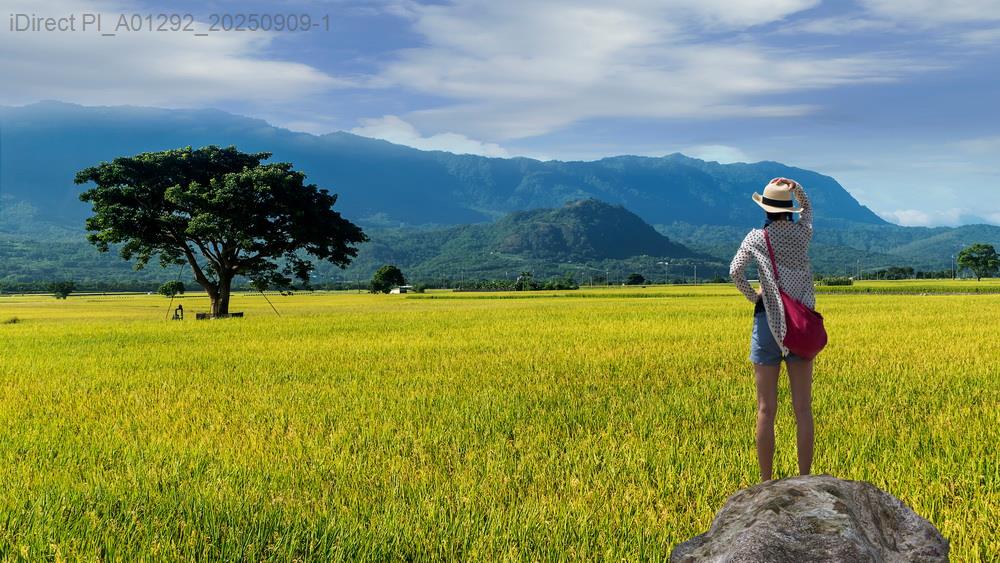 「探索寶島！台灣自由行終極攻略：美食、景點與隱藏版小吃全攻略」